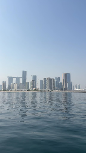 Photo from customer review