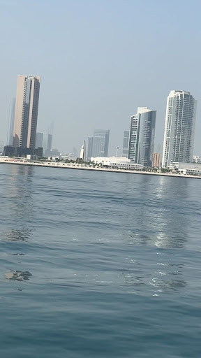 Photo from customer review