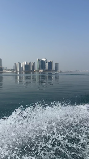 Photo from customer review