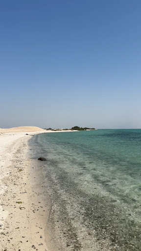 Photo from customer review