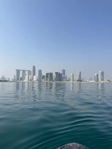 Photo from customer review