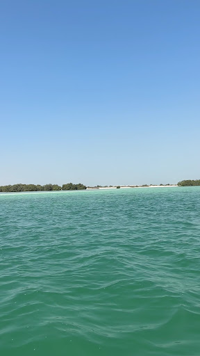 Photo from customer review